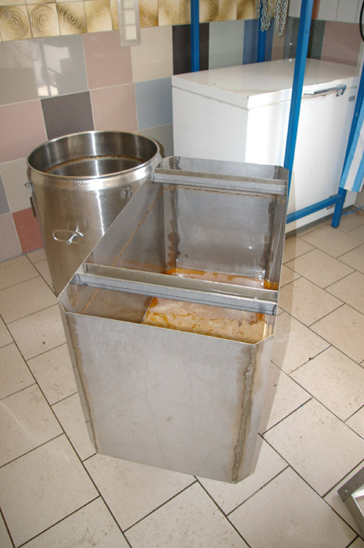 IMGP1661