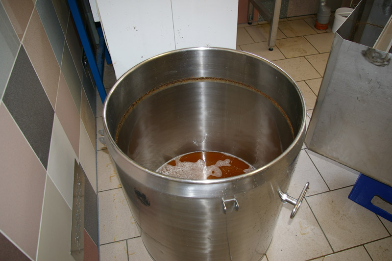 IMGP1662