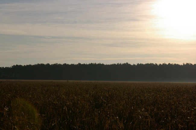 IMGP1600