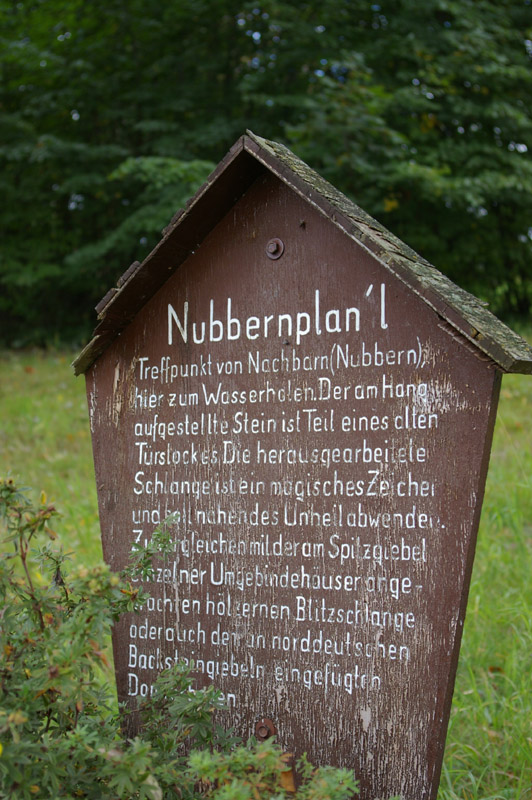 IMGP2749