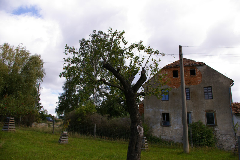 IMGP2760
