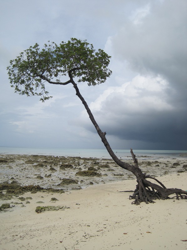 IMG_0397